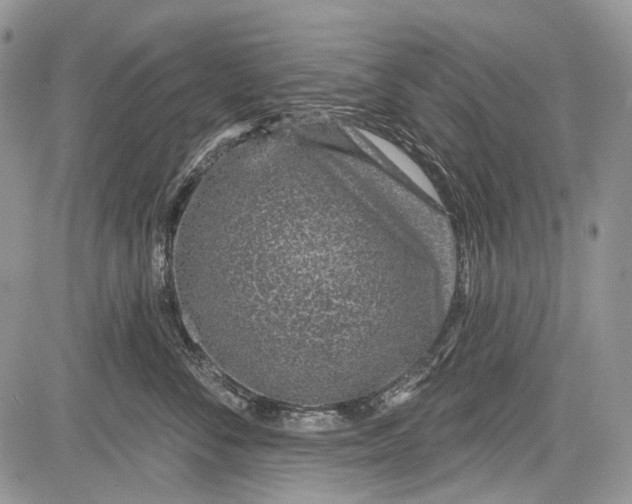 X0000081560716200702051149