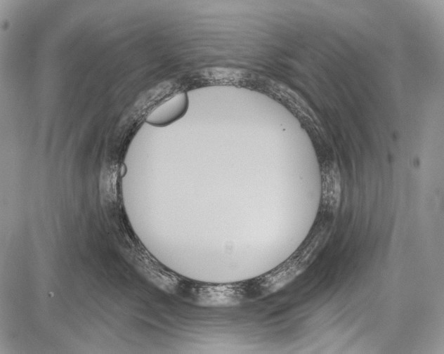 X0000081560717200702051149