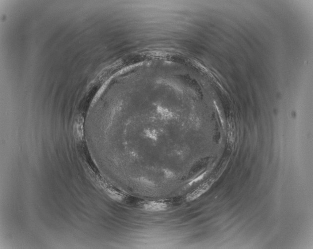 X0000081560718200702051149