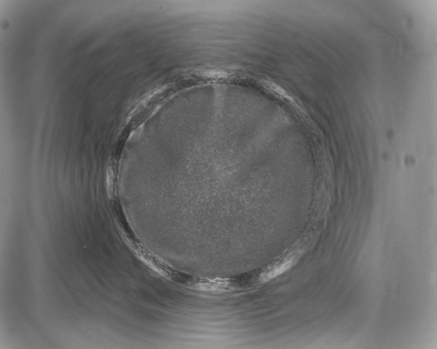 X0000081560720200702051149