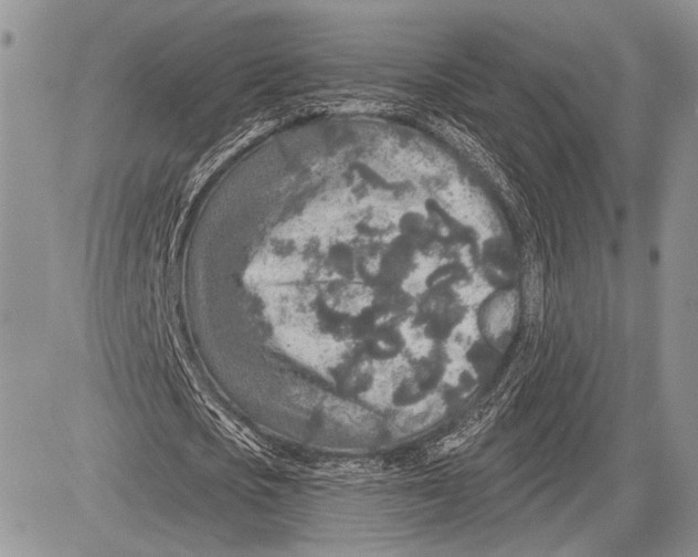 X0000081560721200702051148