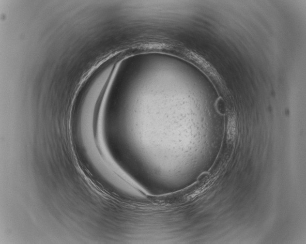 X0000081560722200702051148