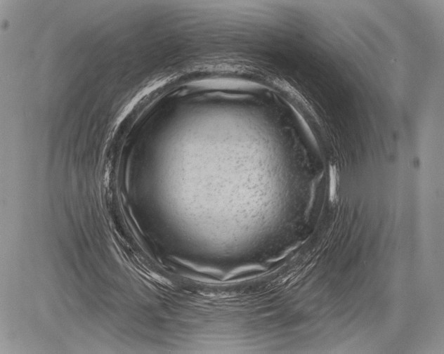 X0000081560723200702051148