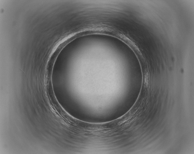 X0000081560724200702051148