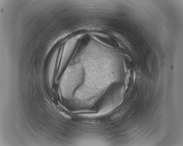 X0000081560727200702051148