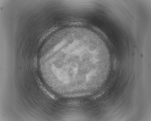 X0000081560729200702051148