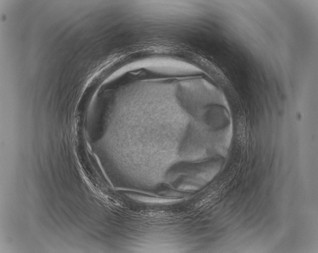 X0000081560730200702051148