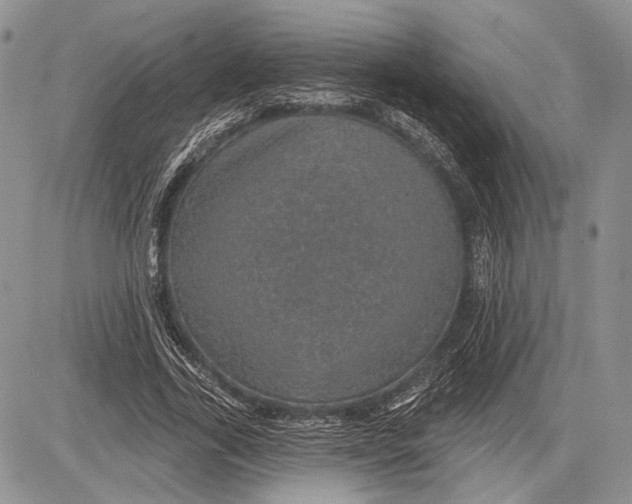 X0000081560731200702051148