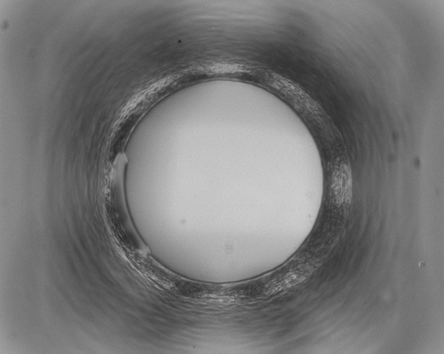 X0000081560732200702051148