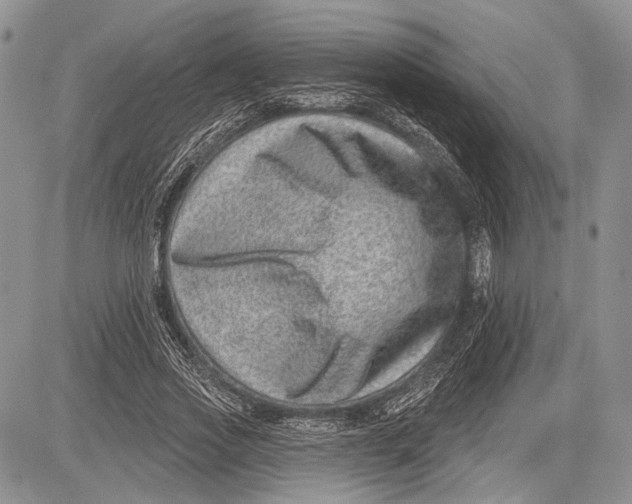 X0000081560733200702051148