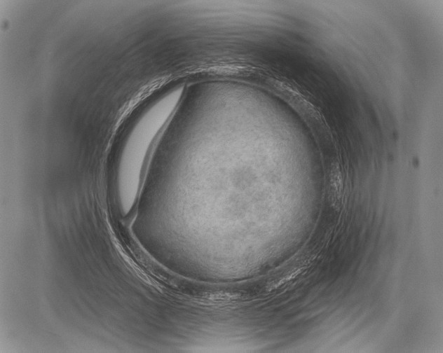 X0000081560734200702051148