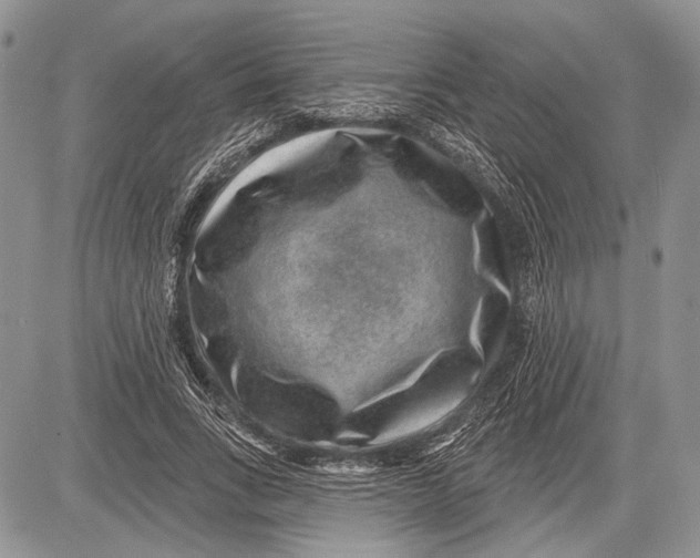 X0000081560735200702051148