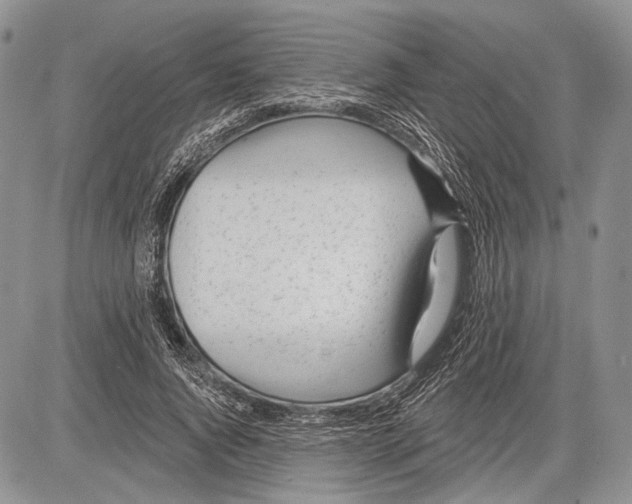 X0000081560736200702051148