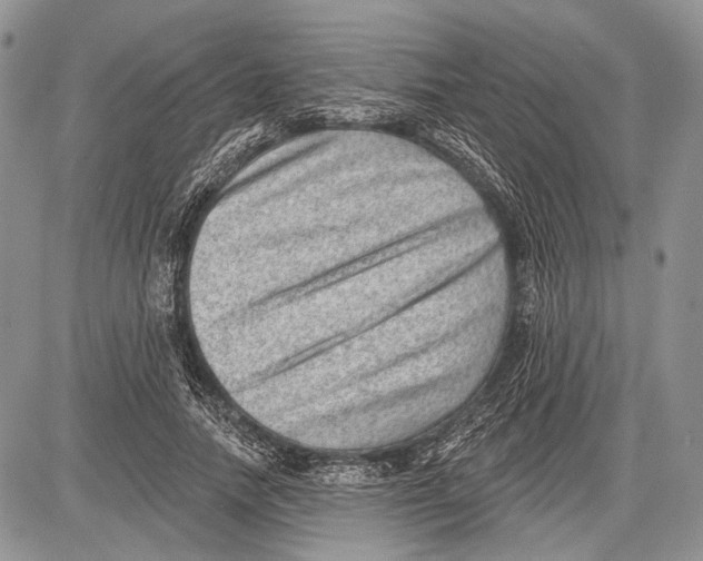 X0000081560738200702051148