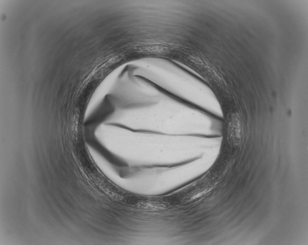 X0000081560739200702051148