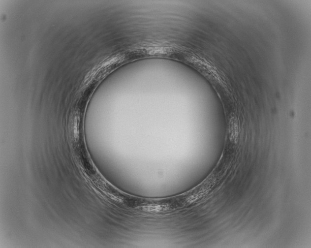 X0000081560740200702051149