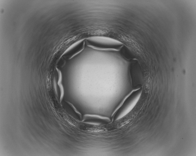 X0000081560743200702051149