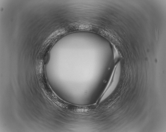 X0000081560744200702051149