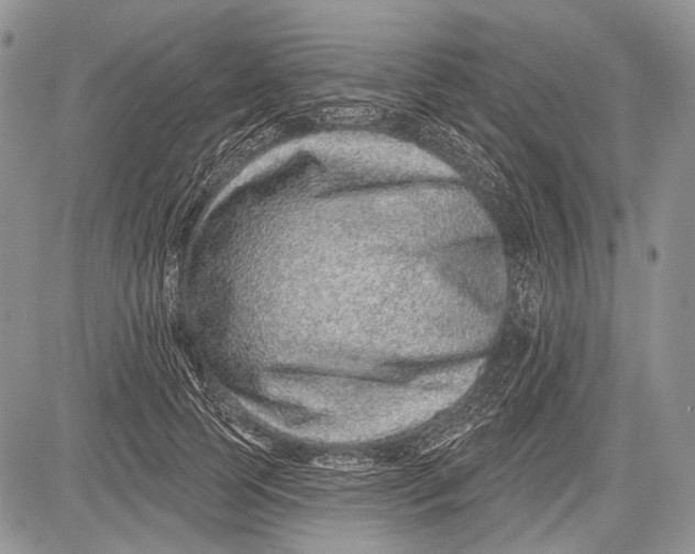 X0000081560745200702051149