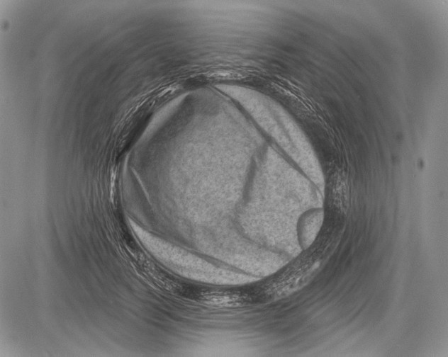 X0000081560746200702051149