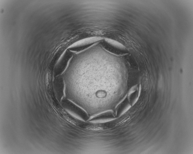 X0000081560747200702051149