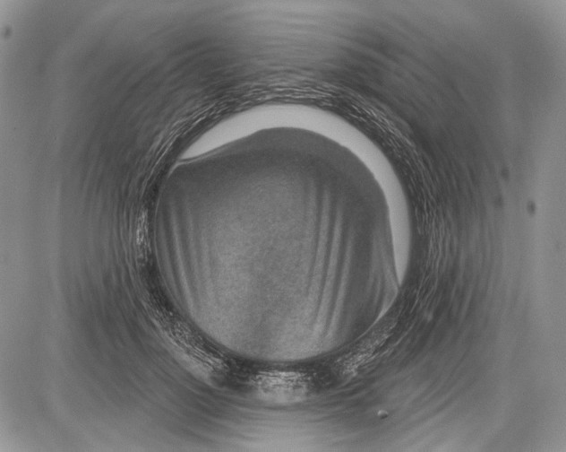 X0000081560748200702051149