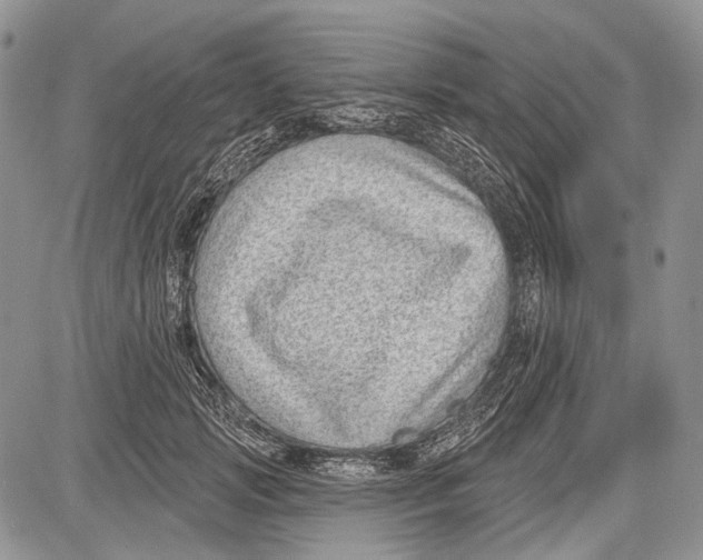 X0000081560749200702051149