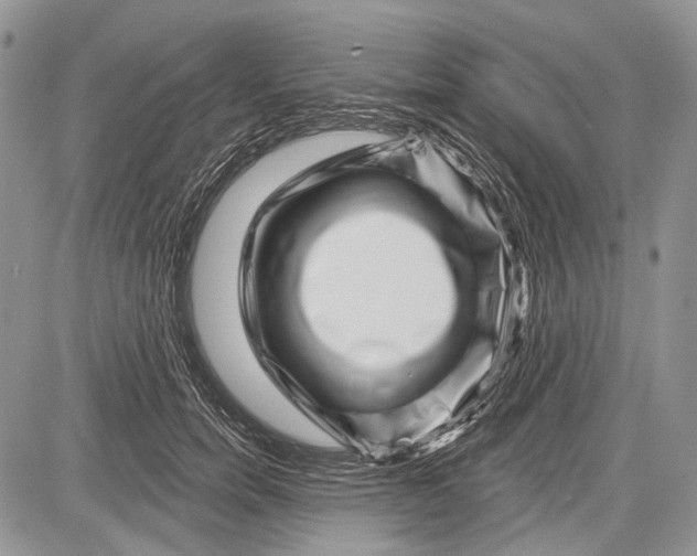 X0000081560750200702051149