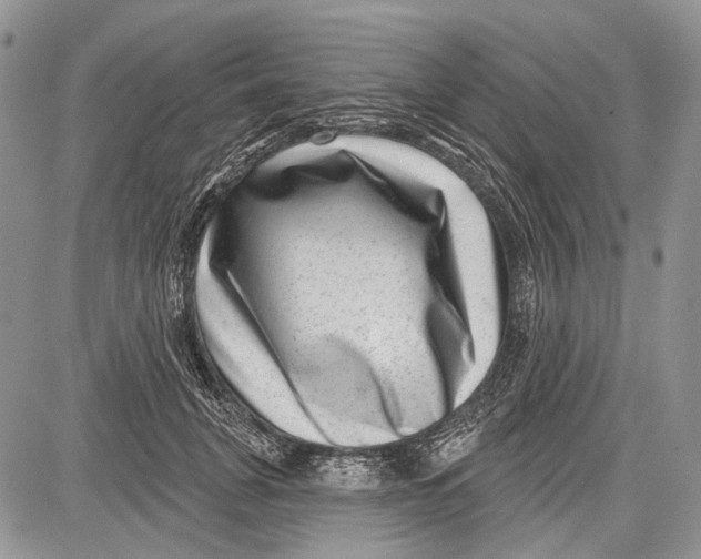 X0000081560751200702051149