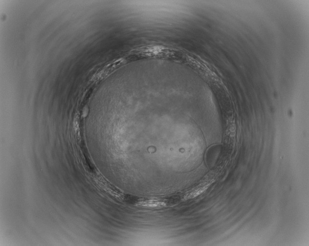 X0000081560754200702051149