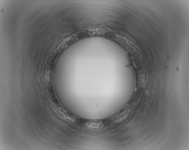 X0000081560756200702051149