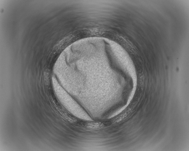 X0000081560757200702051149