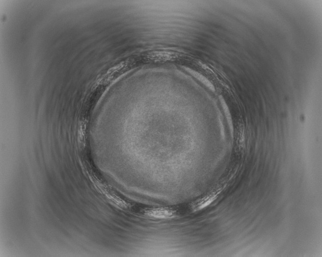 X0000081560759200702051149