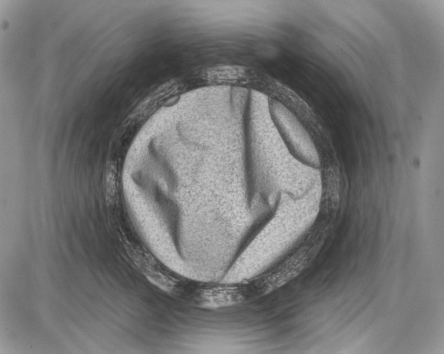 X0000081560761200702051149