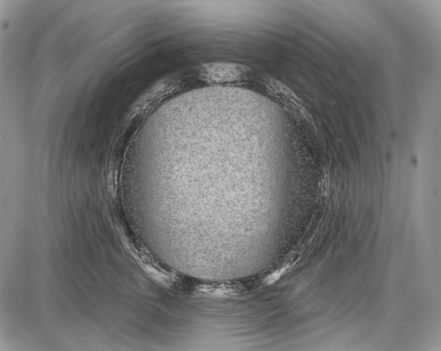 X0000081560763200702051149