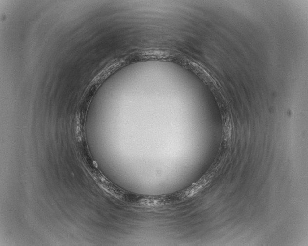 X0000081560764200702051149