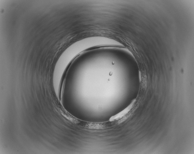 X0000081560766200702051149