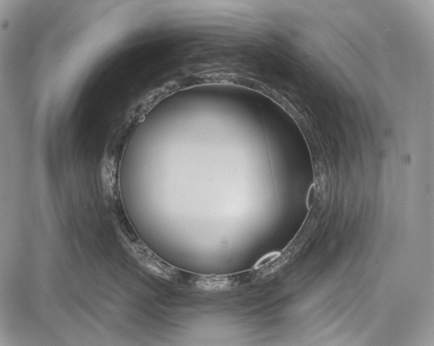 X0000081560767200702051149