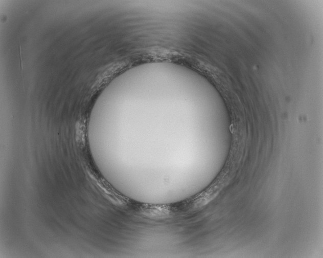 X0000081560768200702051149