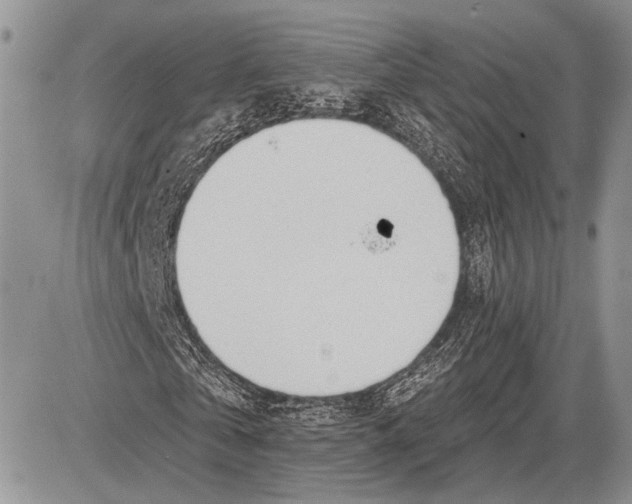 X0000081560769200702051148