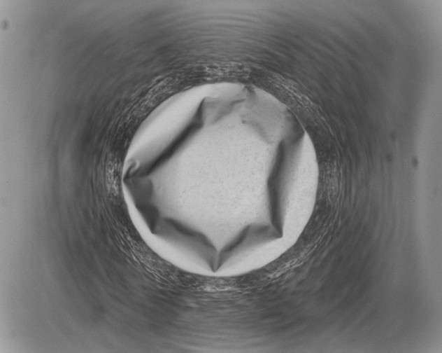 X0000081560770200702051148