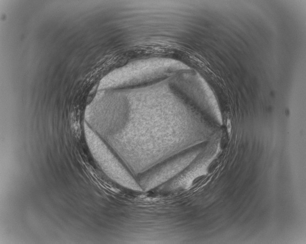 X0000081560771200702051148