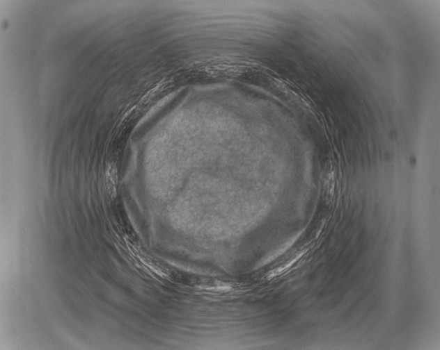 X0000081560772200702051148