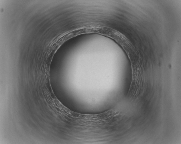 X0000081560773200702051148