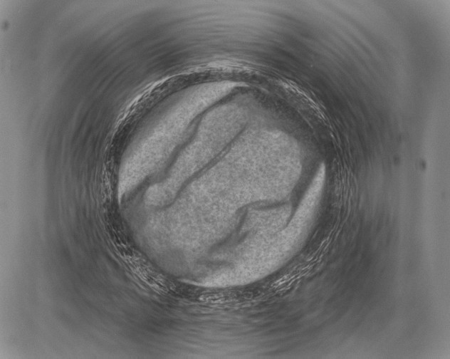 X0000081560776200702051148