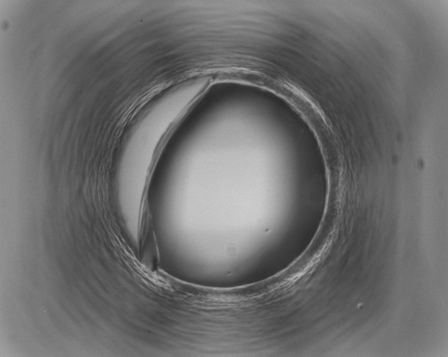 X0000081560777200702051148