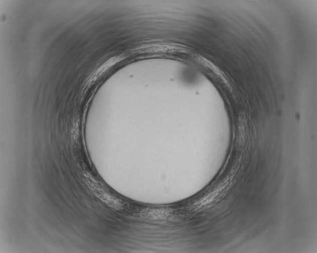 X0000081560778200702051148