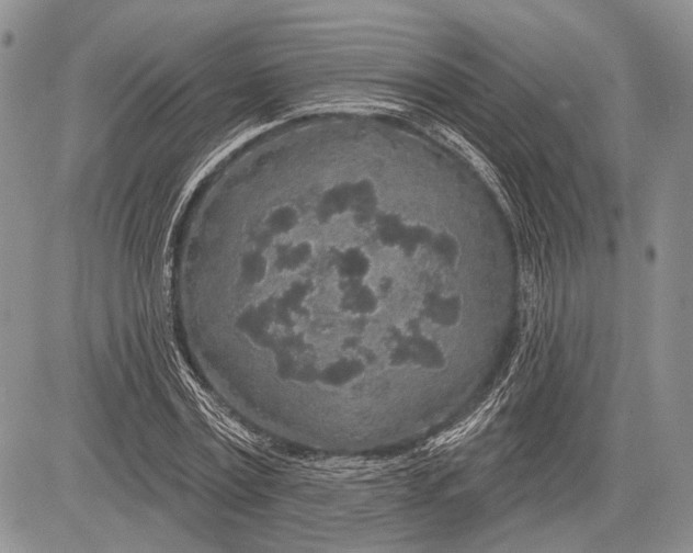 X0000081560779200702051148