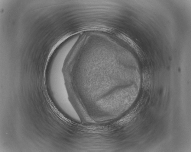 X0000081560780200702051148