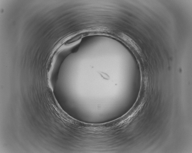 X0000081560781200702051148